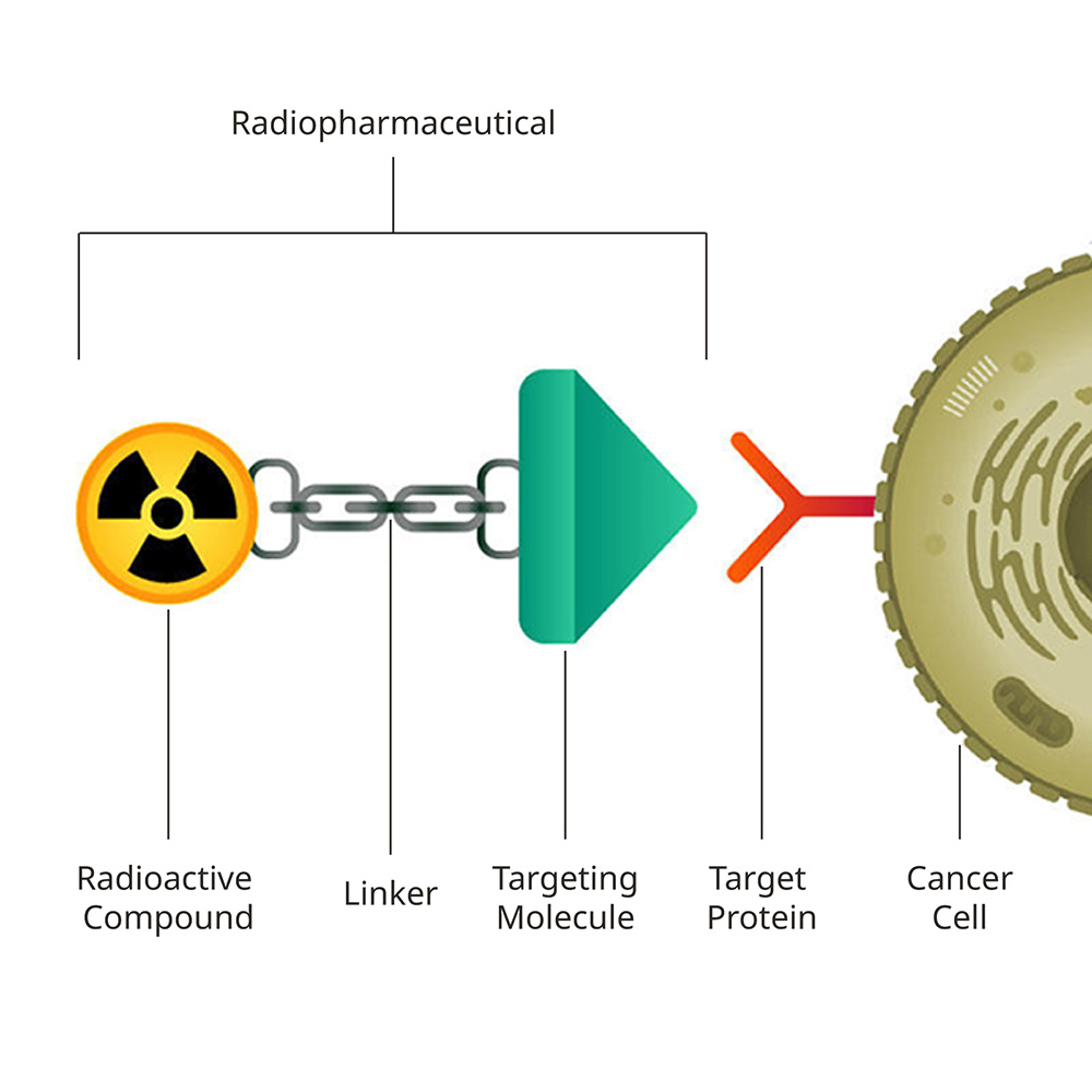 A cancer cell is depicted as a large green ball.